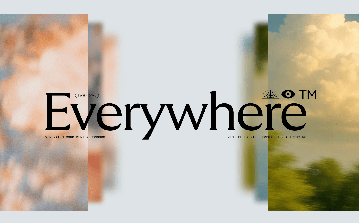 Everywhere Ai